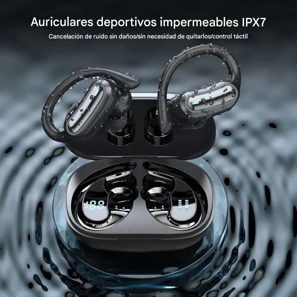 PRISMA — Claridad brillante en cada nota