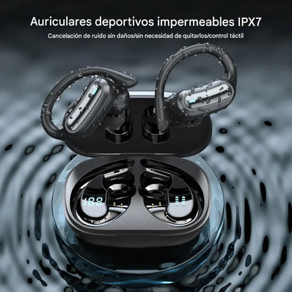 PRISMA — Claridad brillante en cada nota