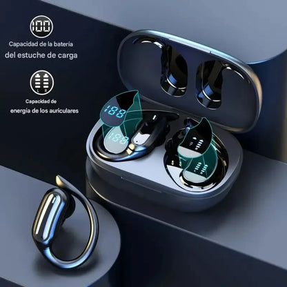 PRISMA — Claridad brillante en cada nota