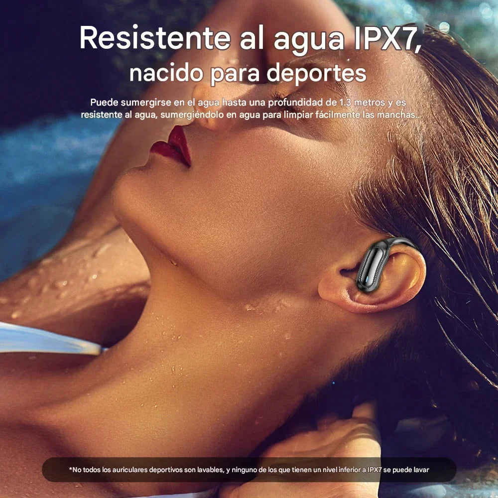 PRISMA — Claridad brillante en cada nota