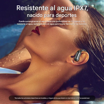 PRISMA — Claridad brillante en cada nota