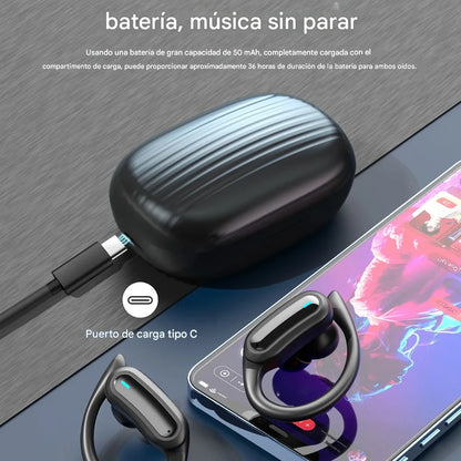 PRISMA — Claridad brillante en cada nota